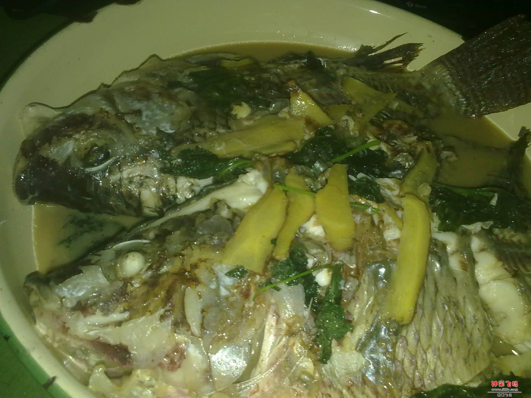 20120823089.jpg