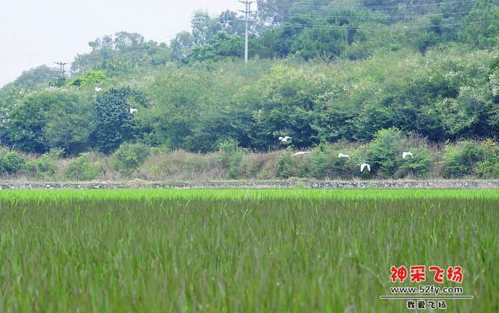 照片 021.jpg
