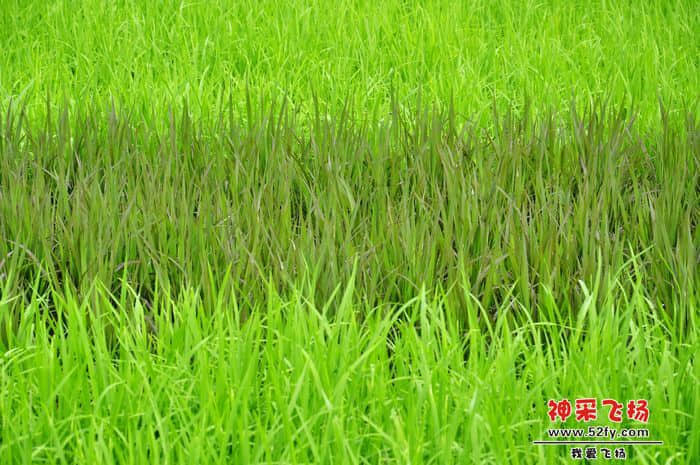 照片 066.jpg