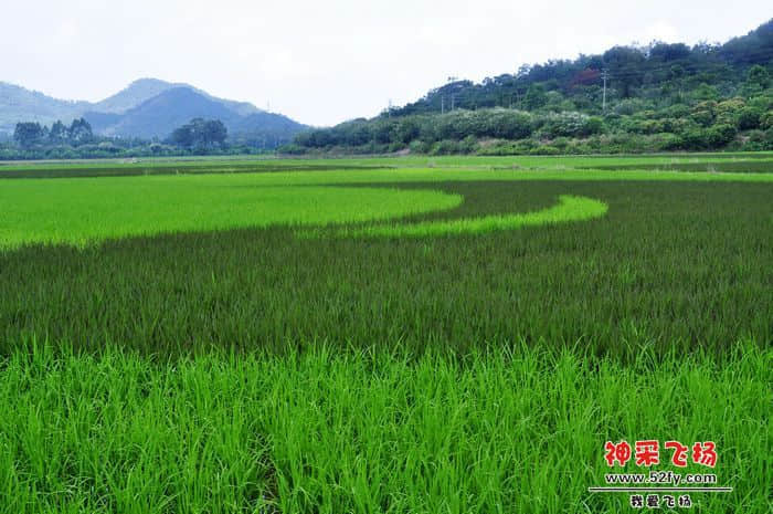 照片 088.jpg