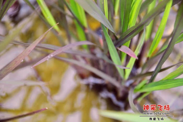 照片 017.jpg