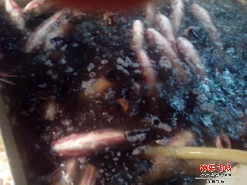 水库大头鱼