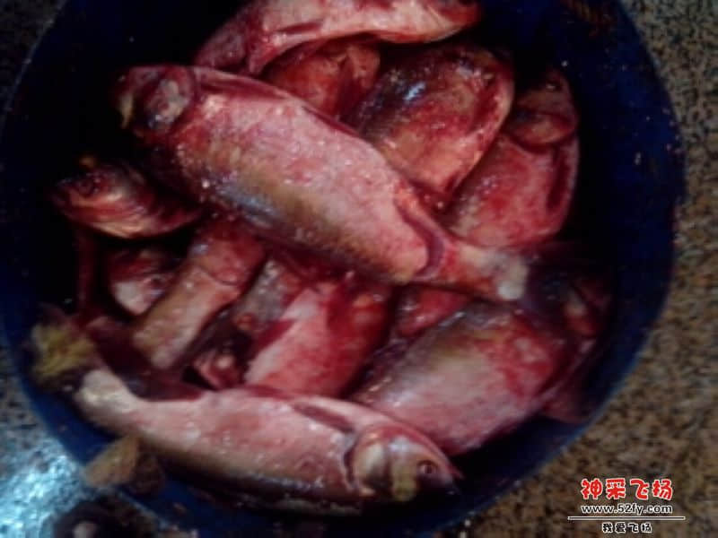 饭堂既鱼