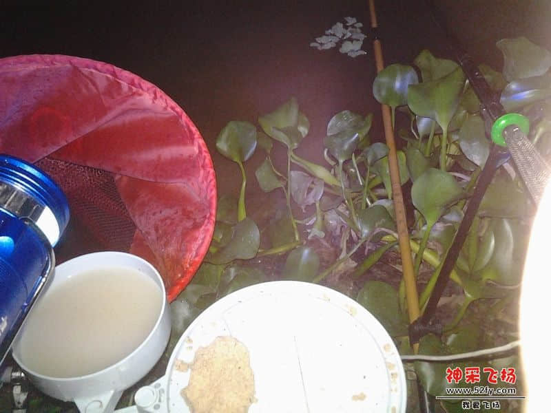 我的钓位!