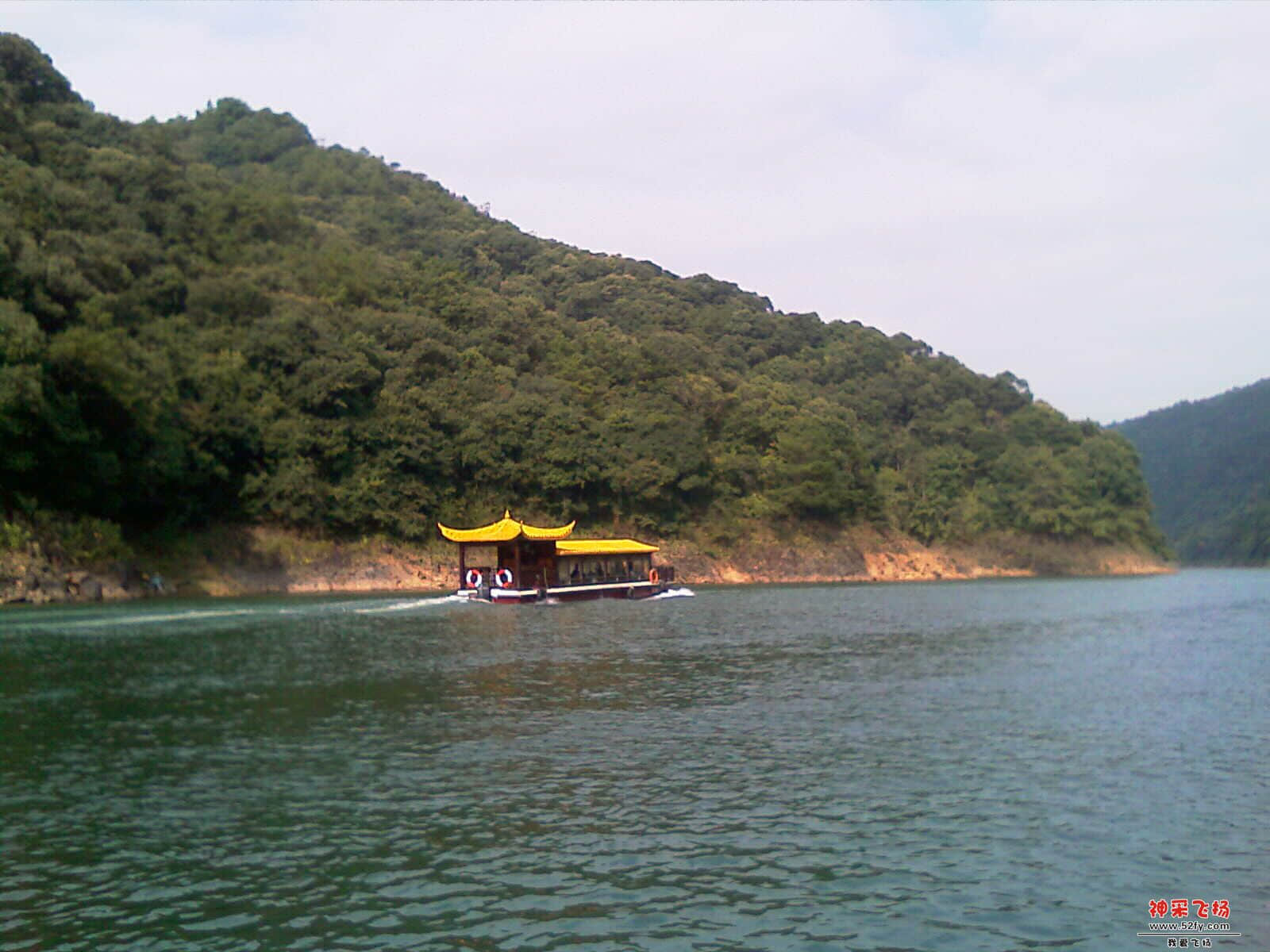 IMAG0020.jpg