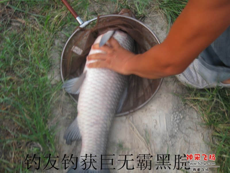 IMG_1616_副本.jpg