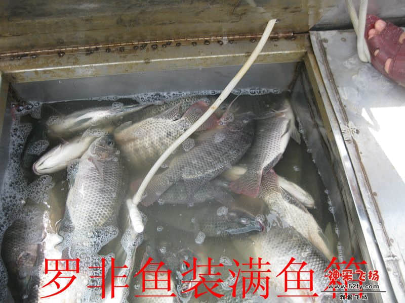 IMG_1642_副本.jpg