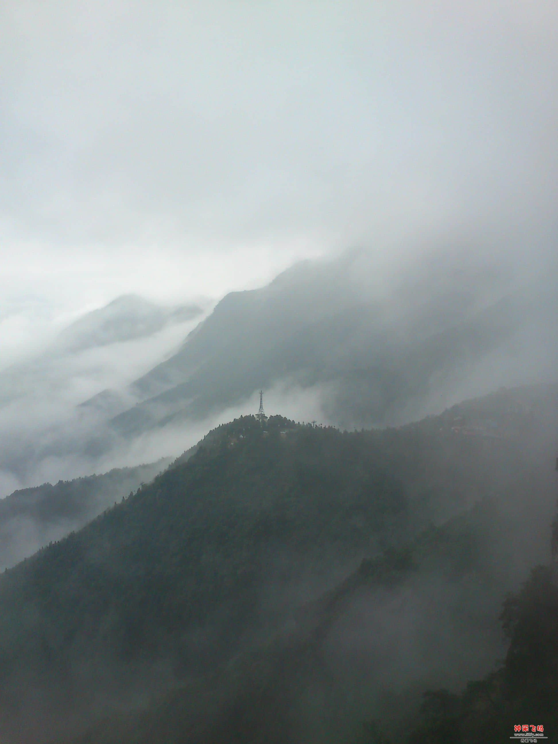 DSC_9007.JPG