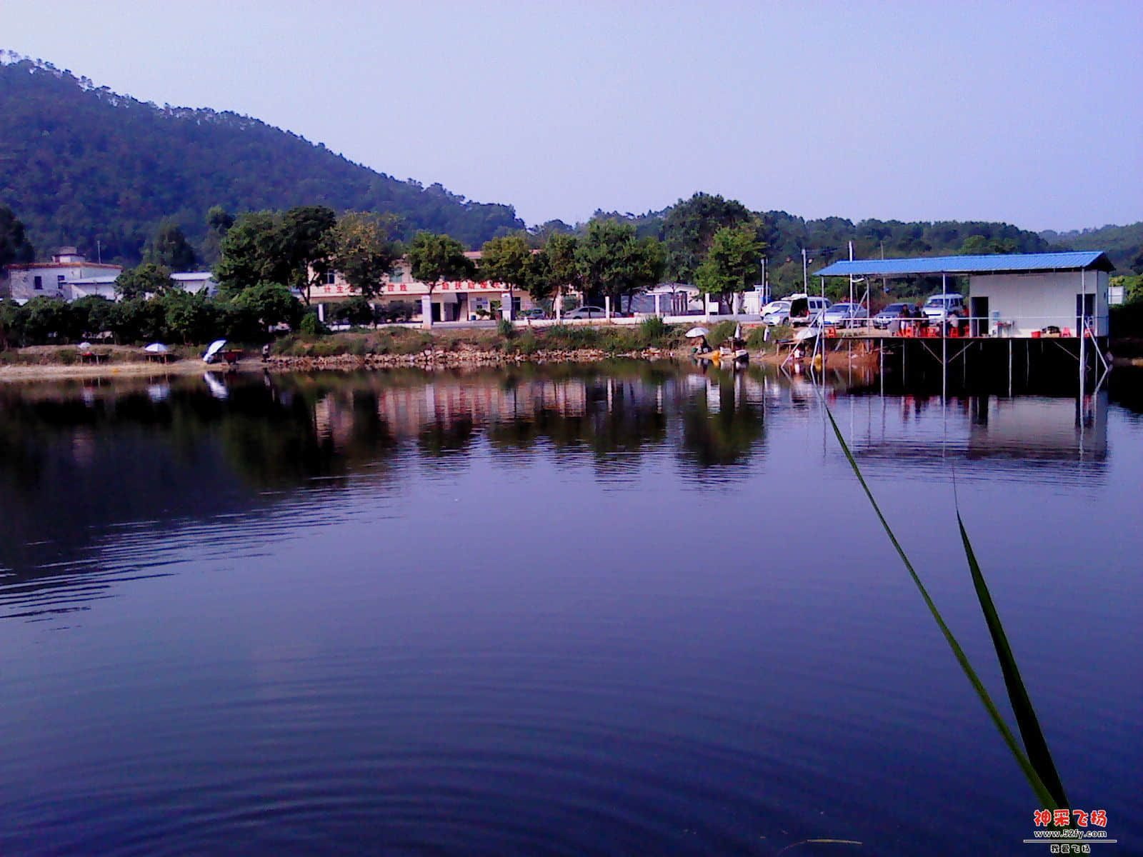 DSC01314.JPG