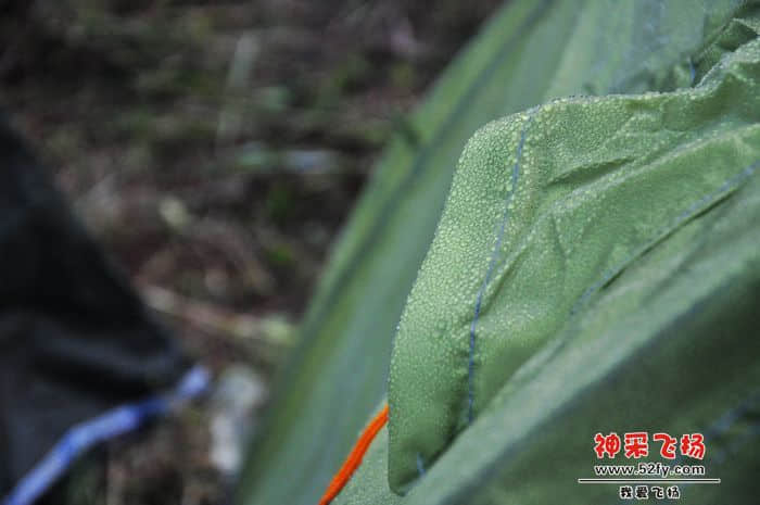 照片 516.jpg