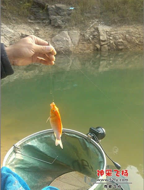 QQ截图20121006175244.jpg