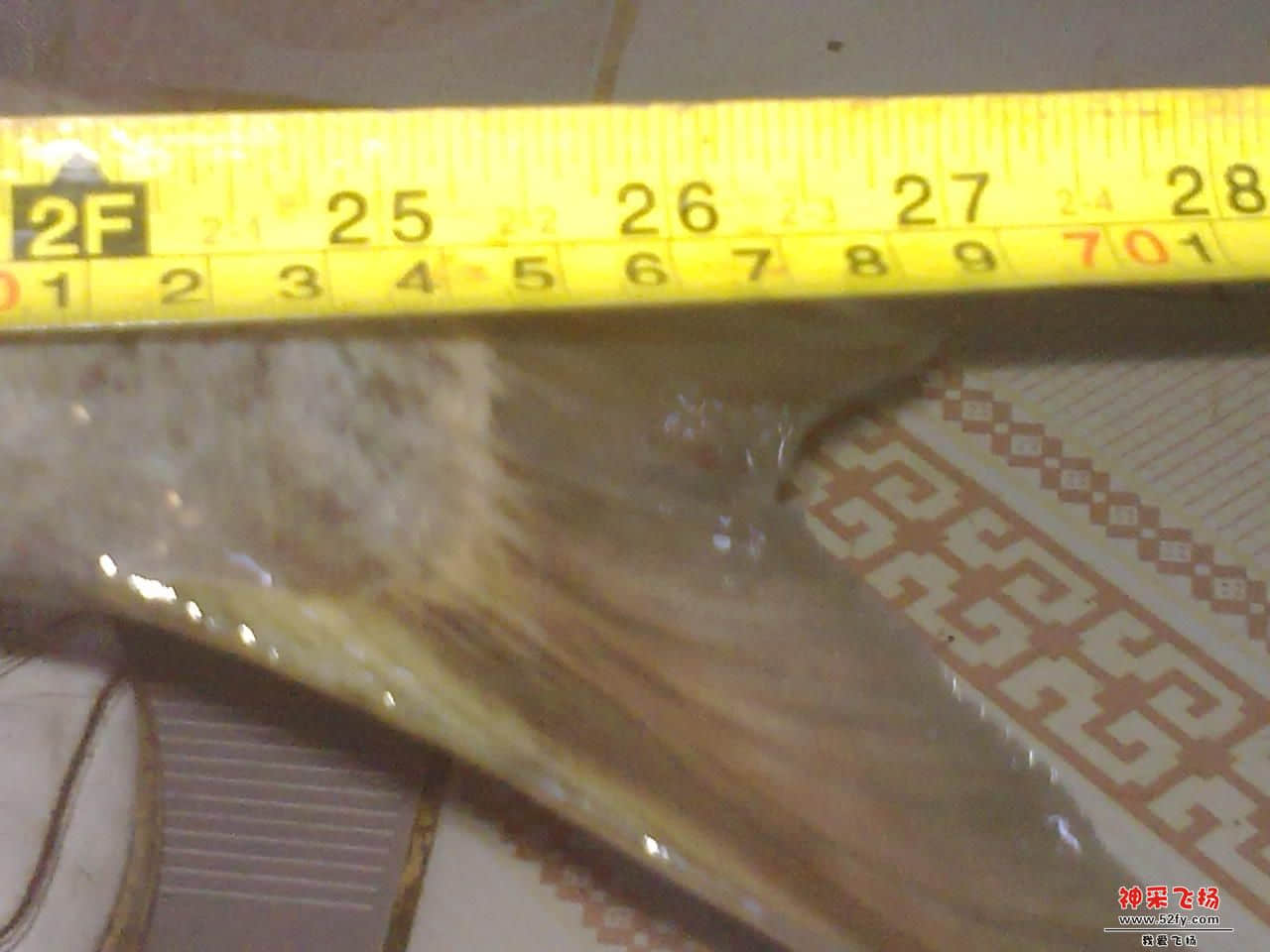 B1ED2218@F4F96649.C5787250.jpg