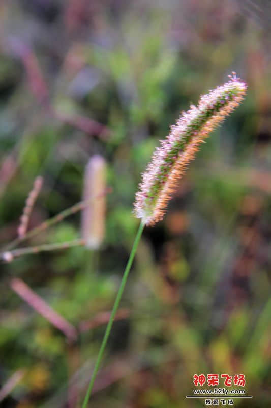 IMG_5347.jpg