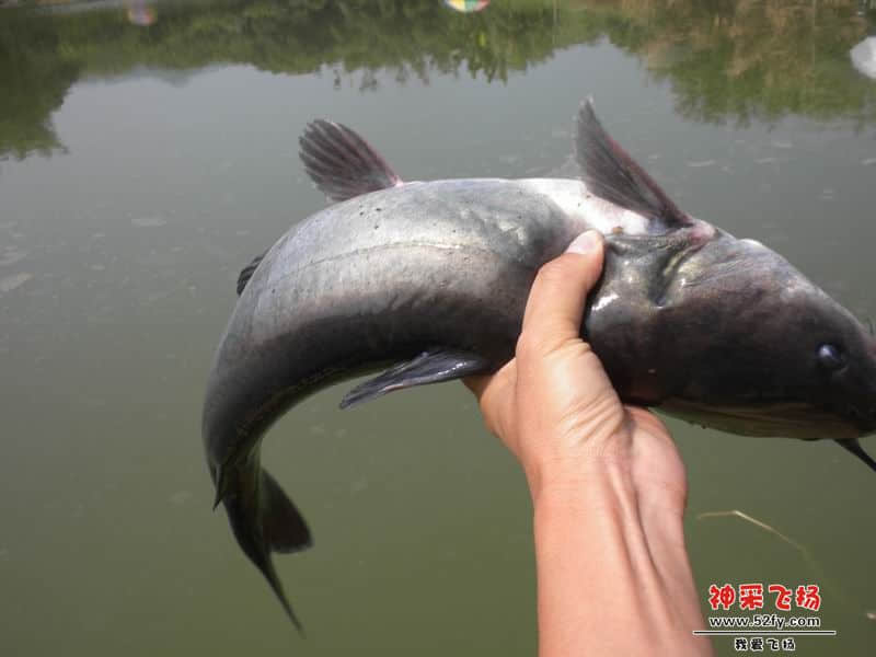 DSCN3632.JPG