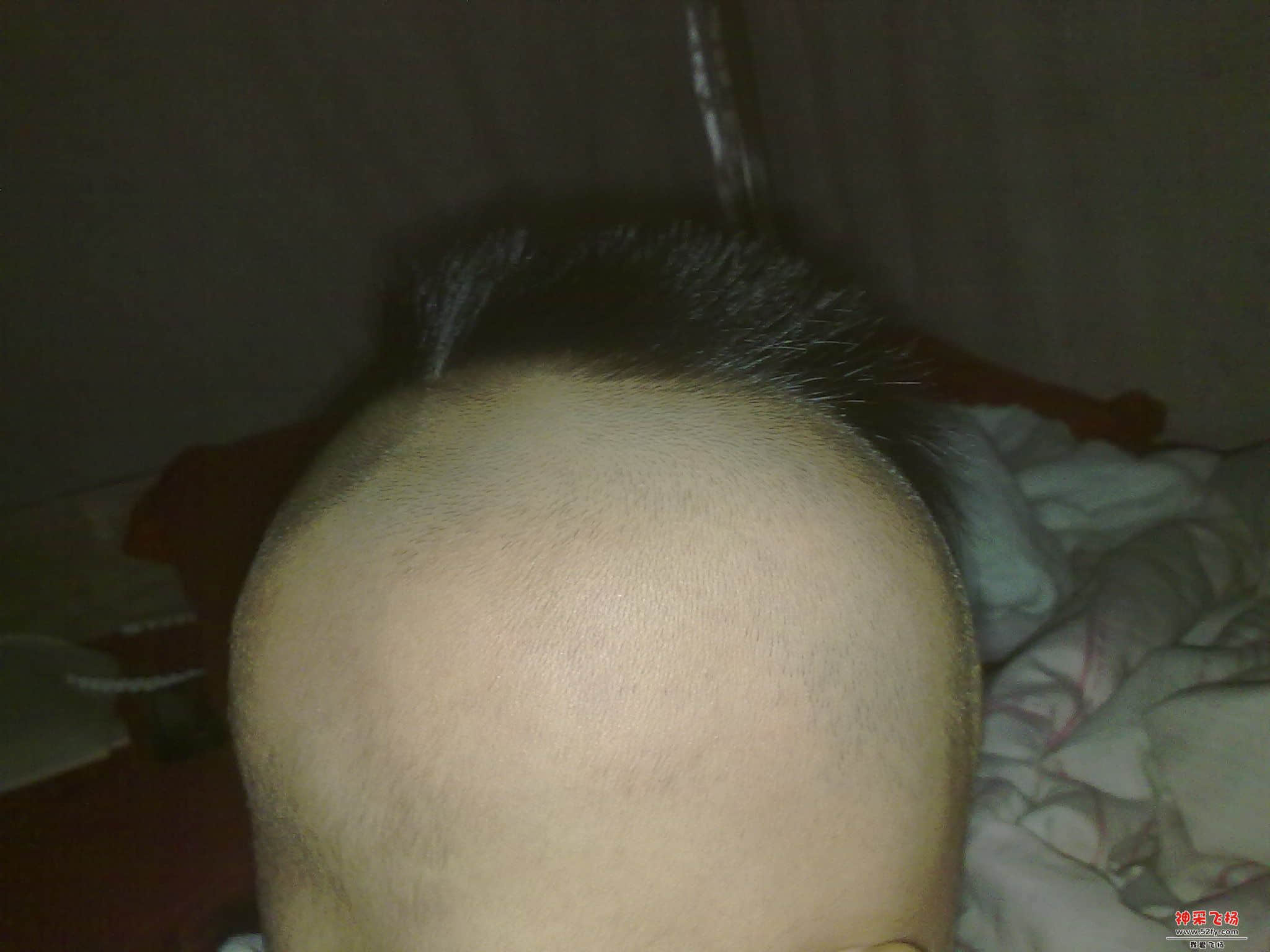 照片 006.jpg