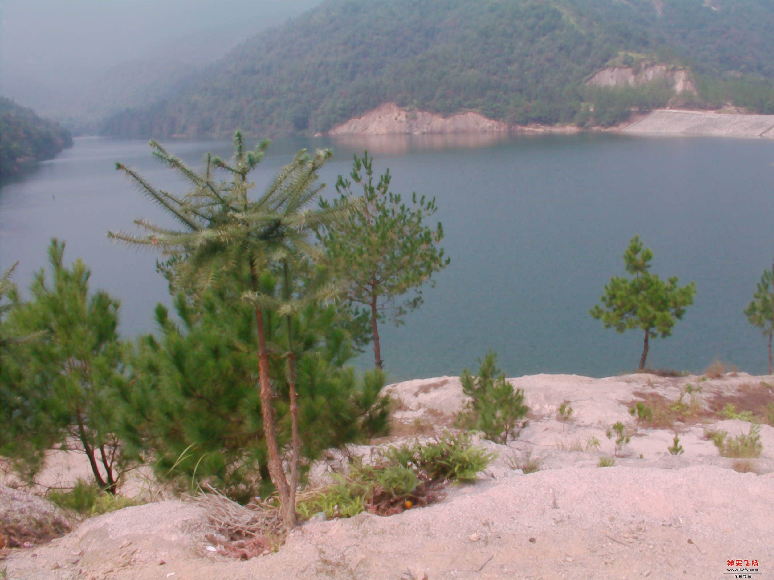 FILE0114.JPG