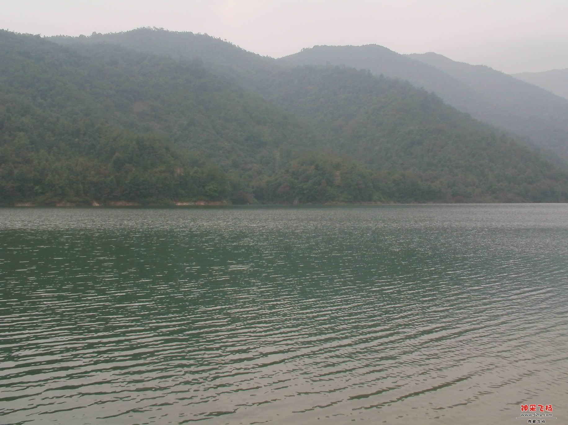 FILE0183.JPG