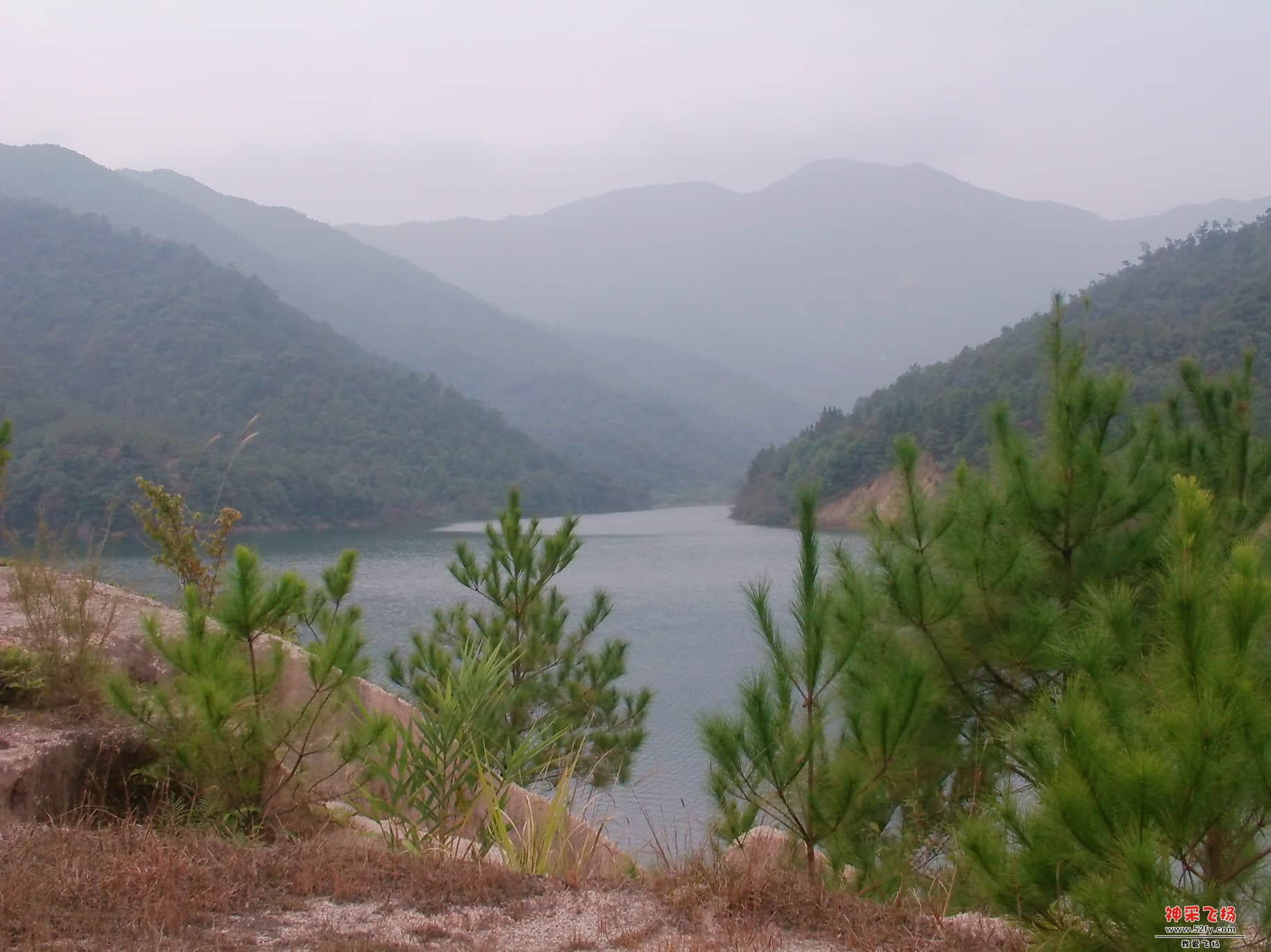 FILE0204.JPG