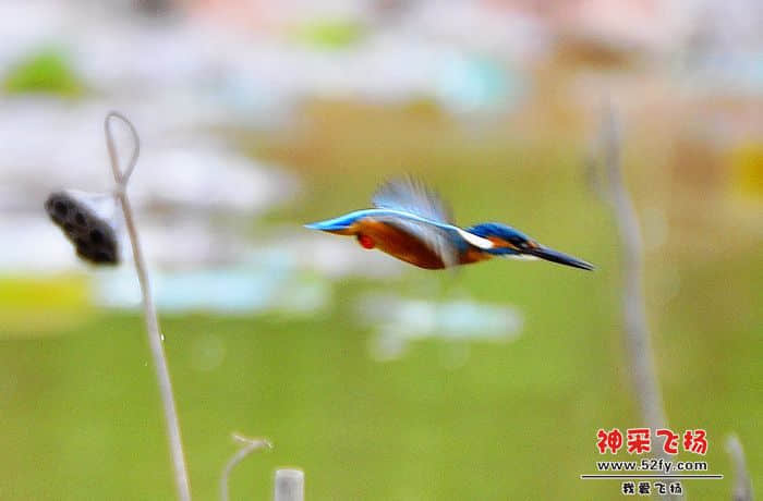 照片 048.jpg