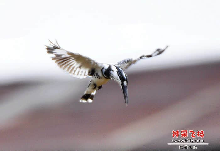 照片 162.jpg