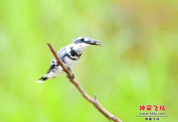照片 186.jpg