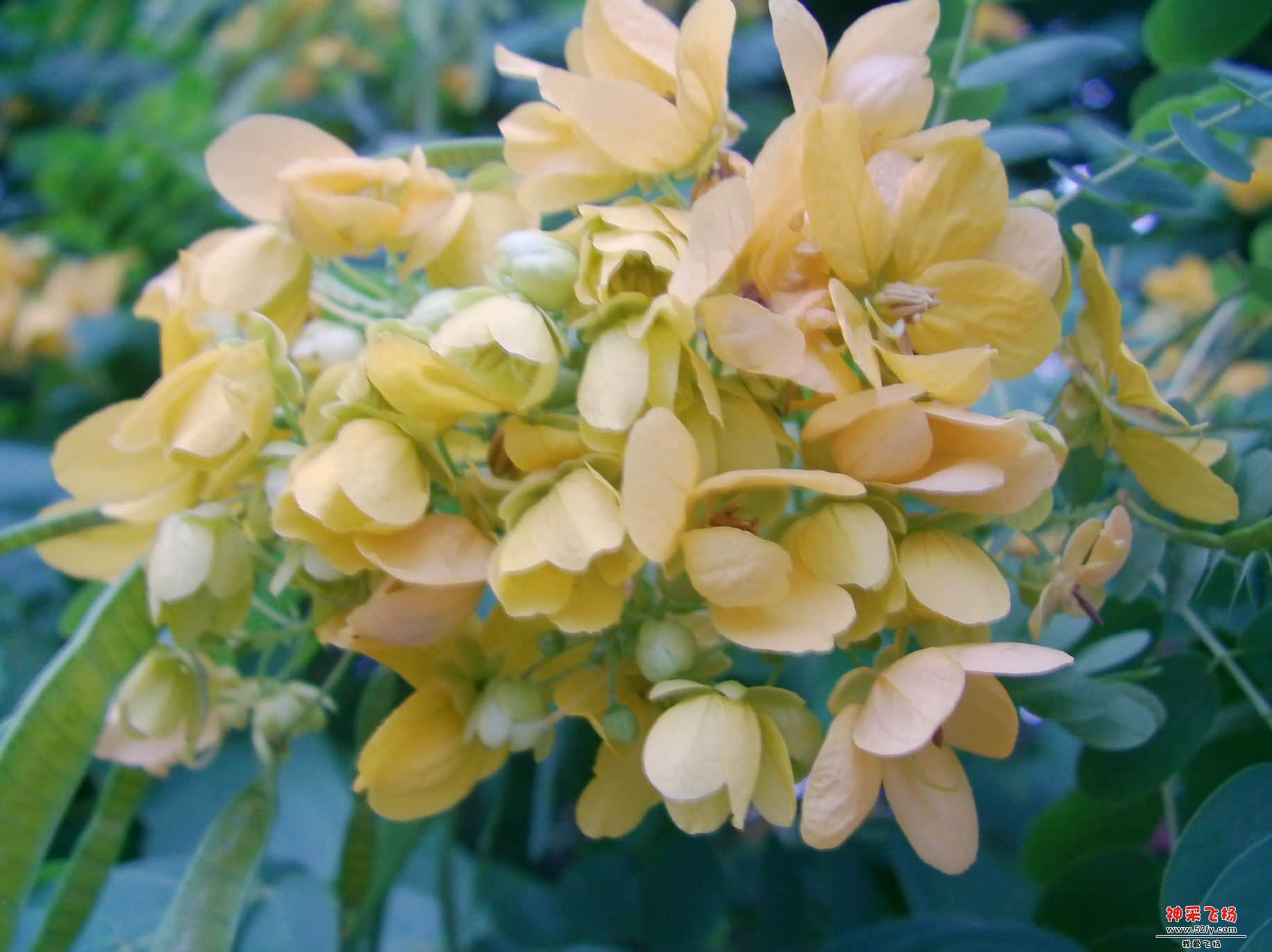 FILE0290.JPG