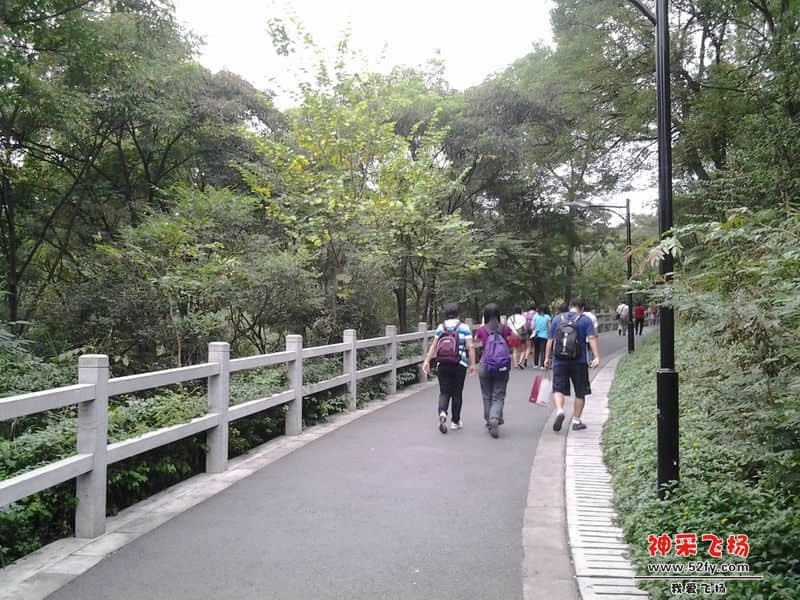 20121026_152745.jpg