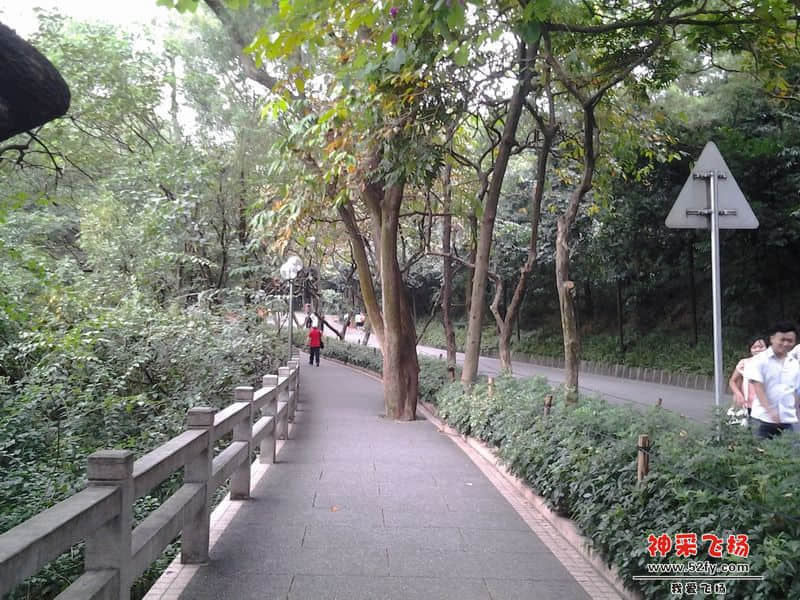 20121026_152910.jpg