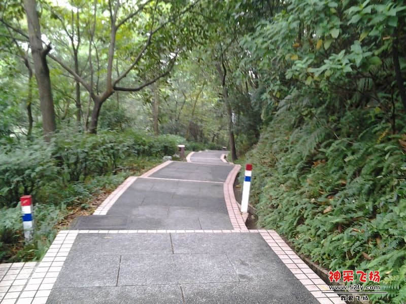 20121026_153214.jpg