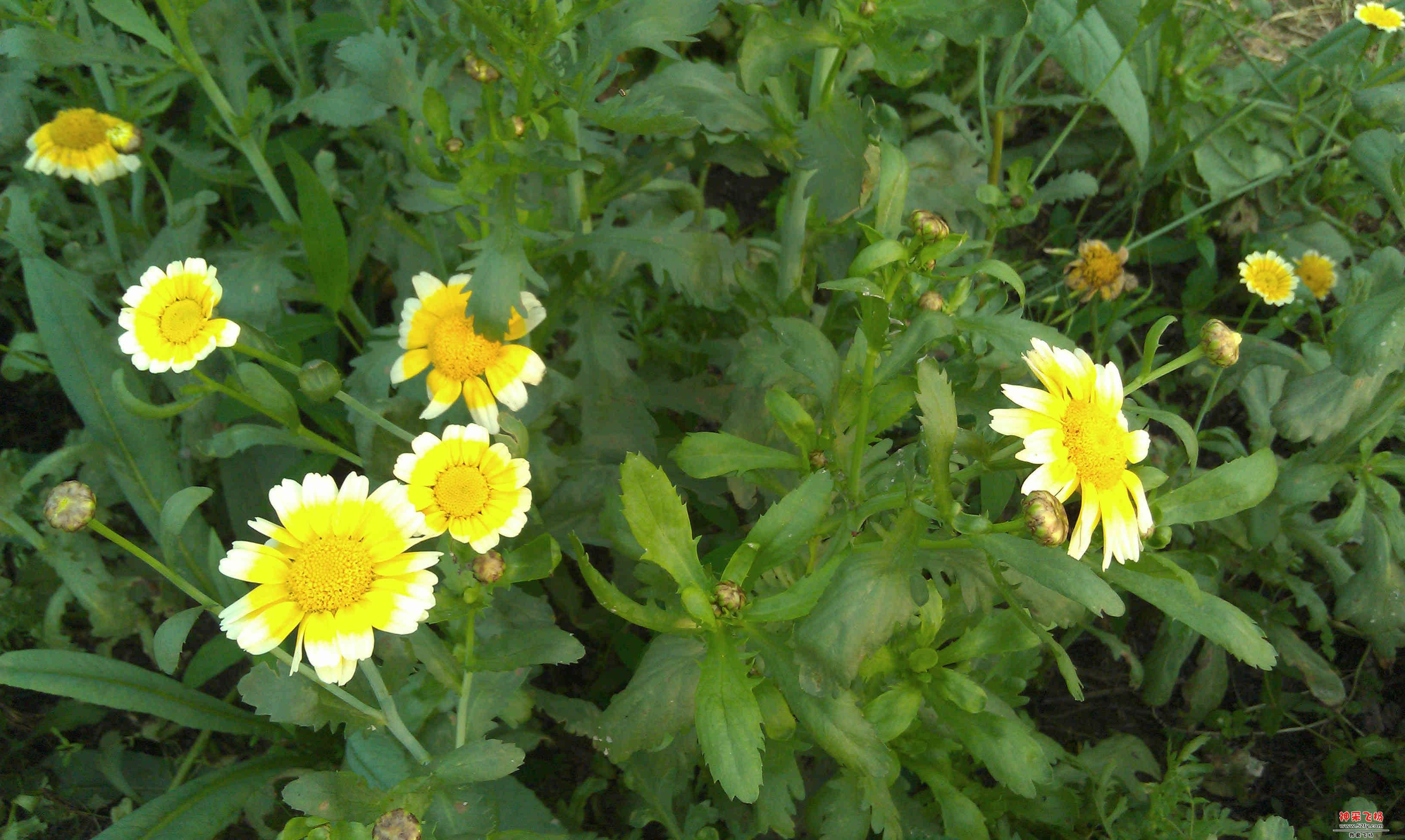 IMAG0279.jpg