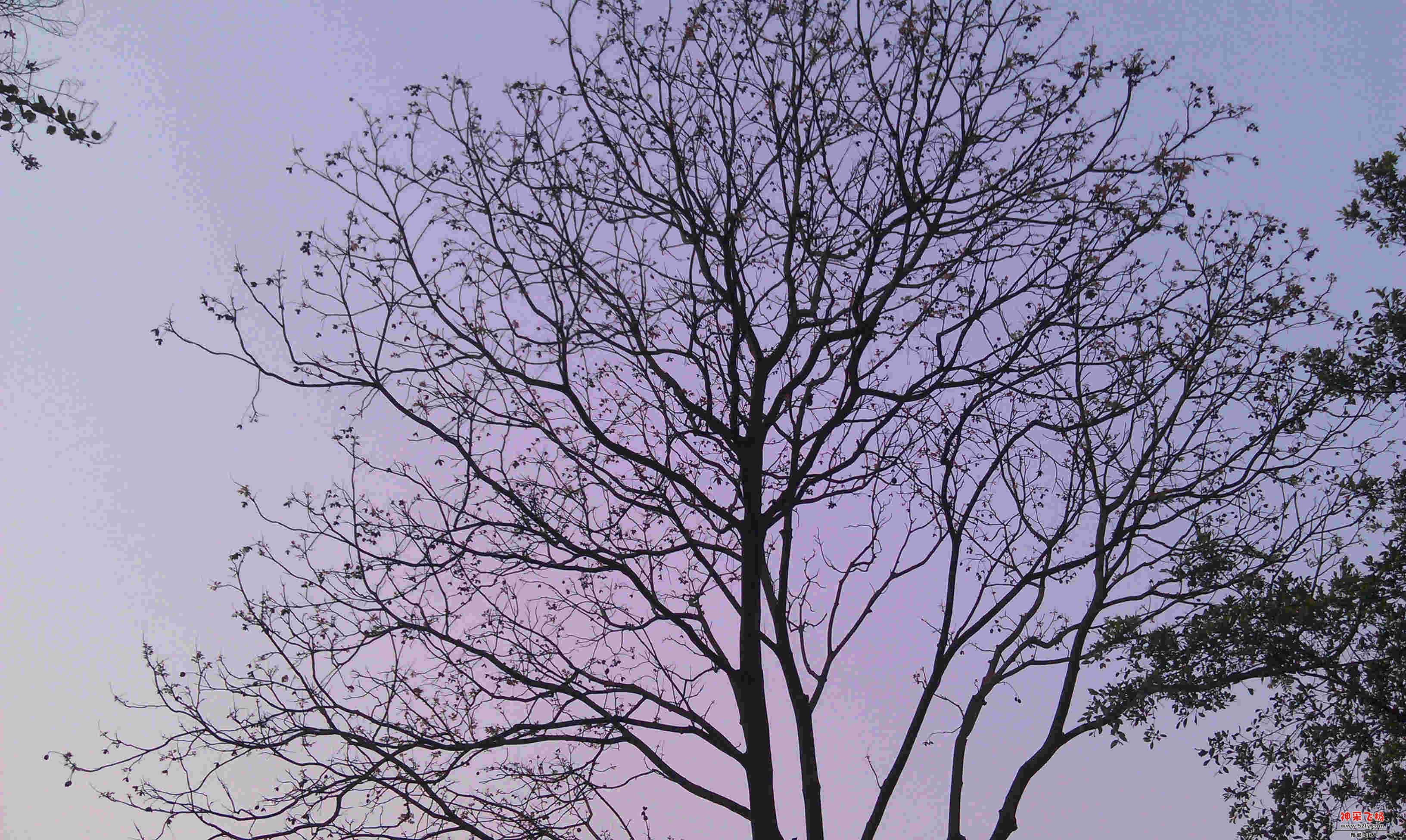 IMAG0286.jpg