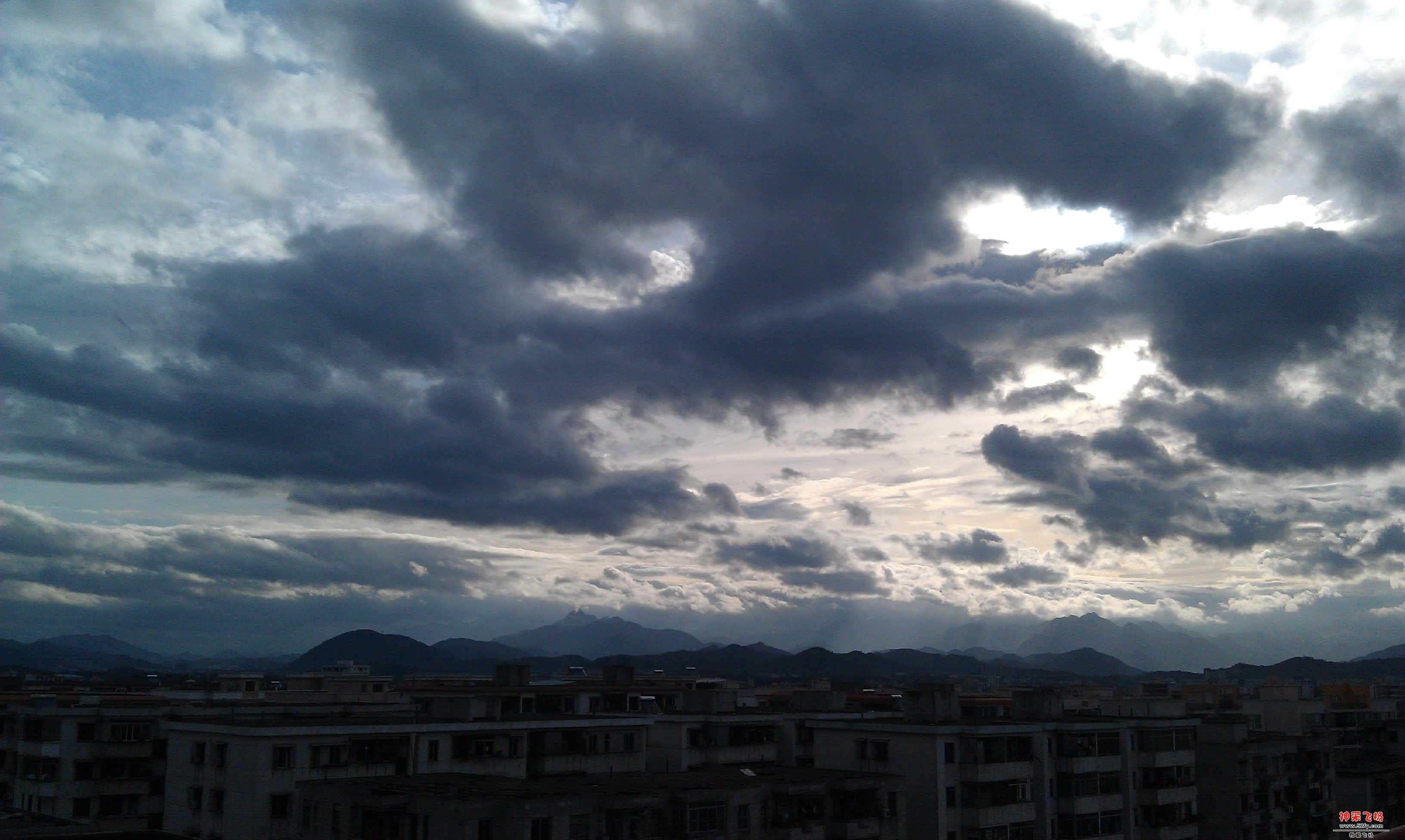 IMAG0355.jpg