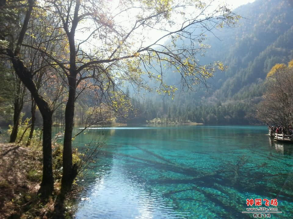 20121028_140340.jpg