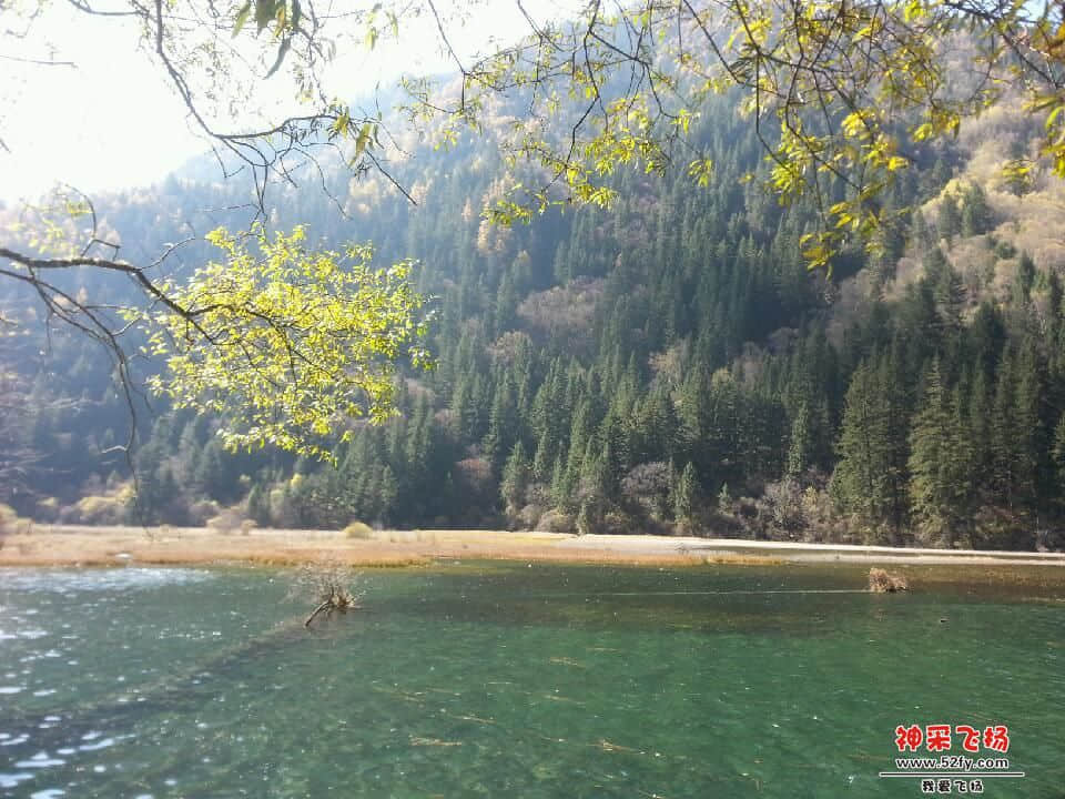 20121028_134016.jpg
