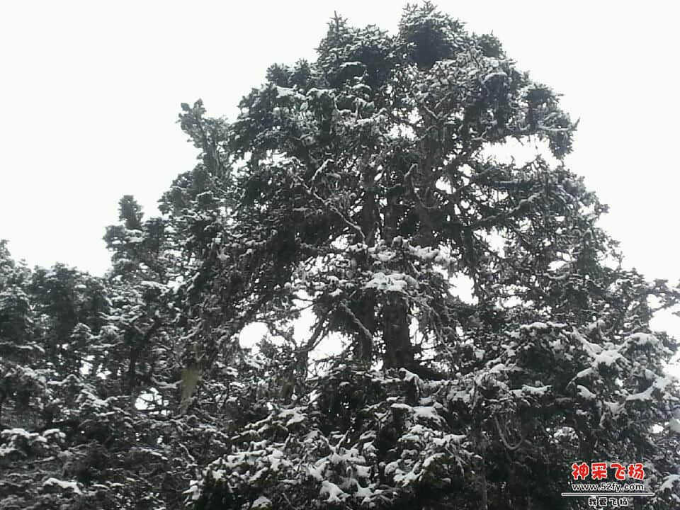 20121027_125021.jpg