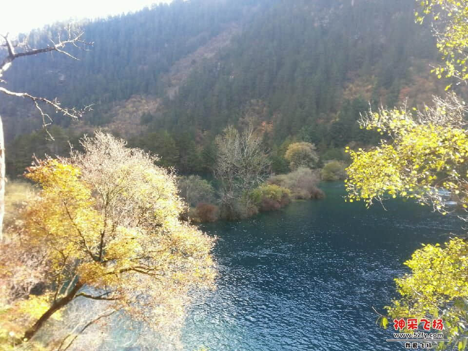 20121028_095440.jpg