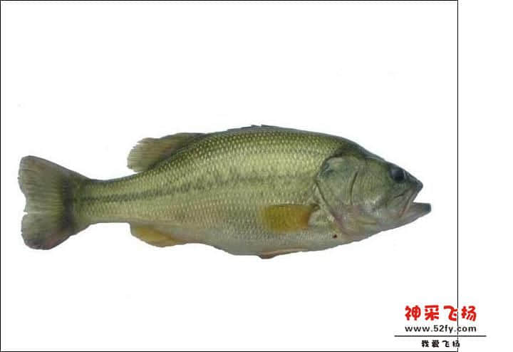 未命名4.JPG