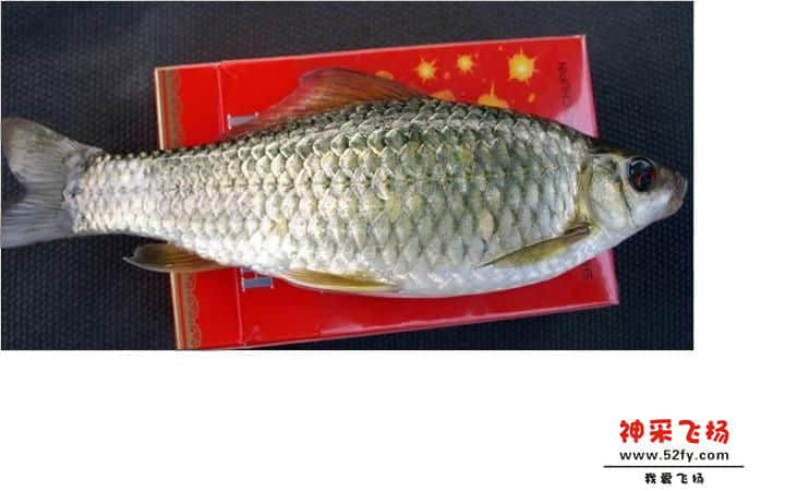 未命名6.JPG