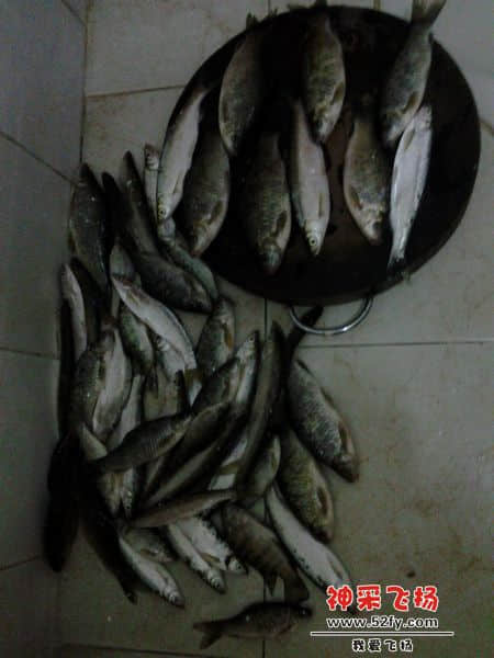 2012-11-04 17.47.16.jpg