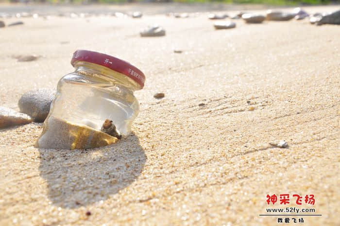照片 851.jpg