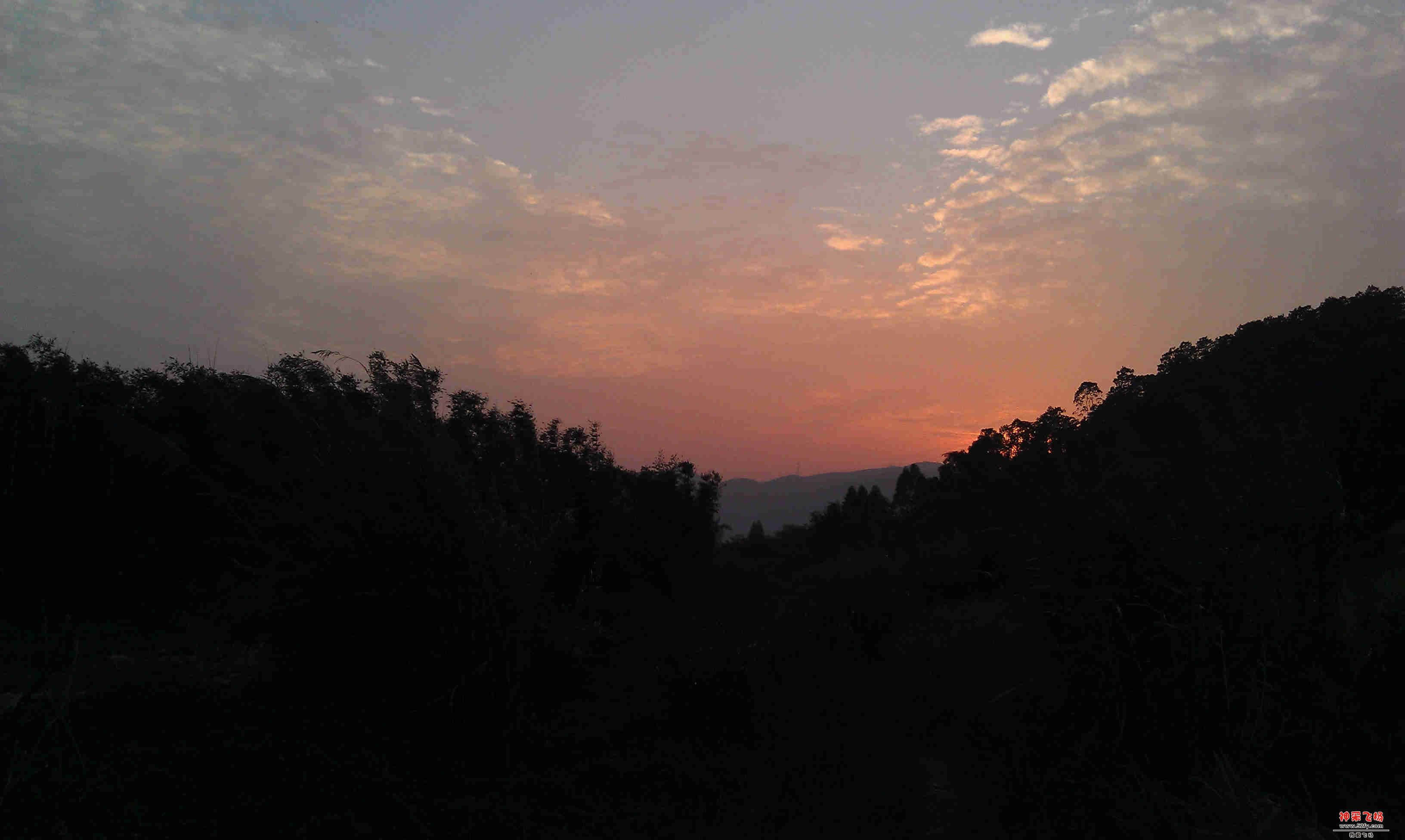IMAG0176.jpg