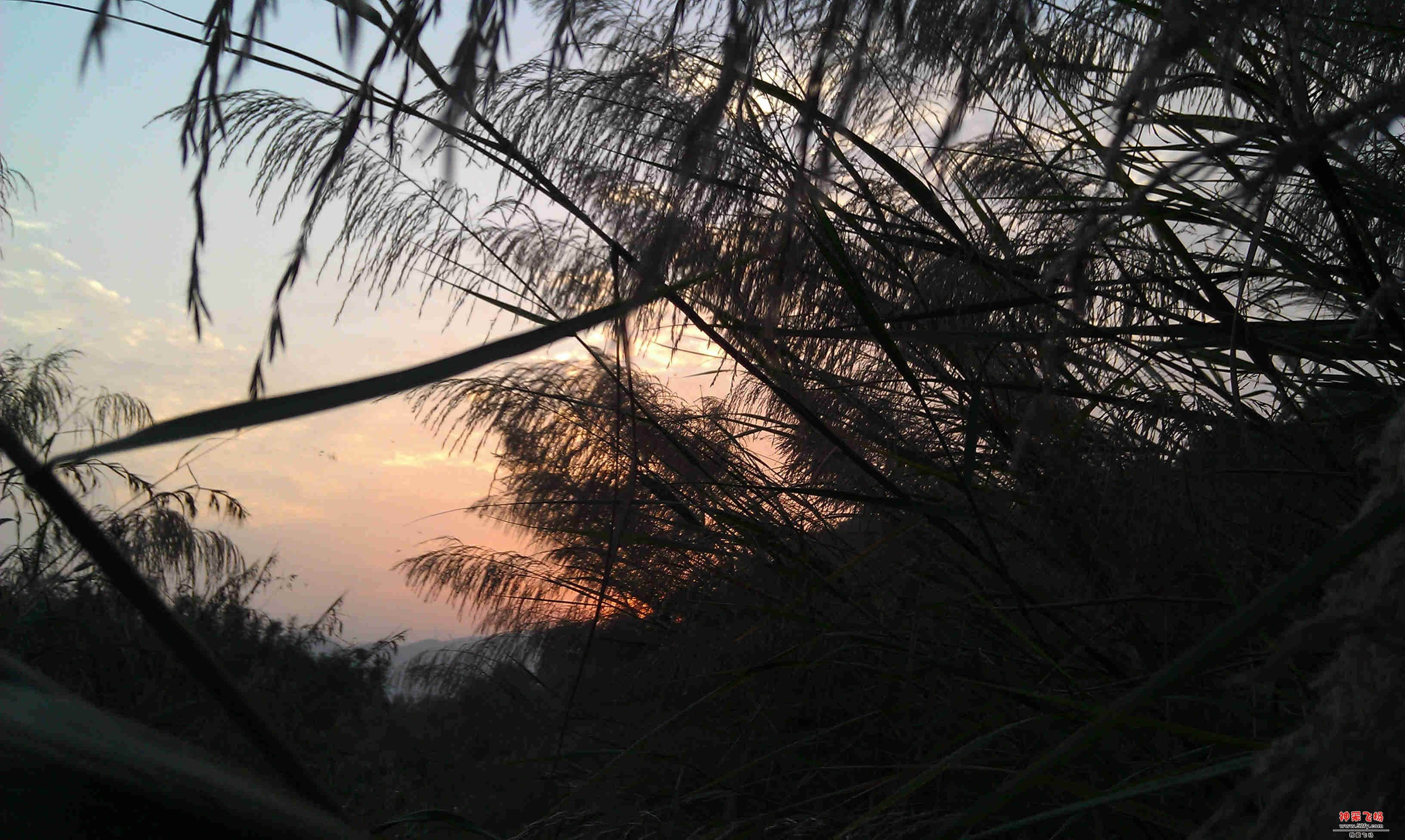 IMAG0178.jpg