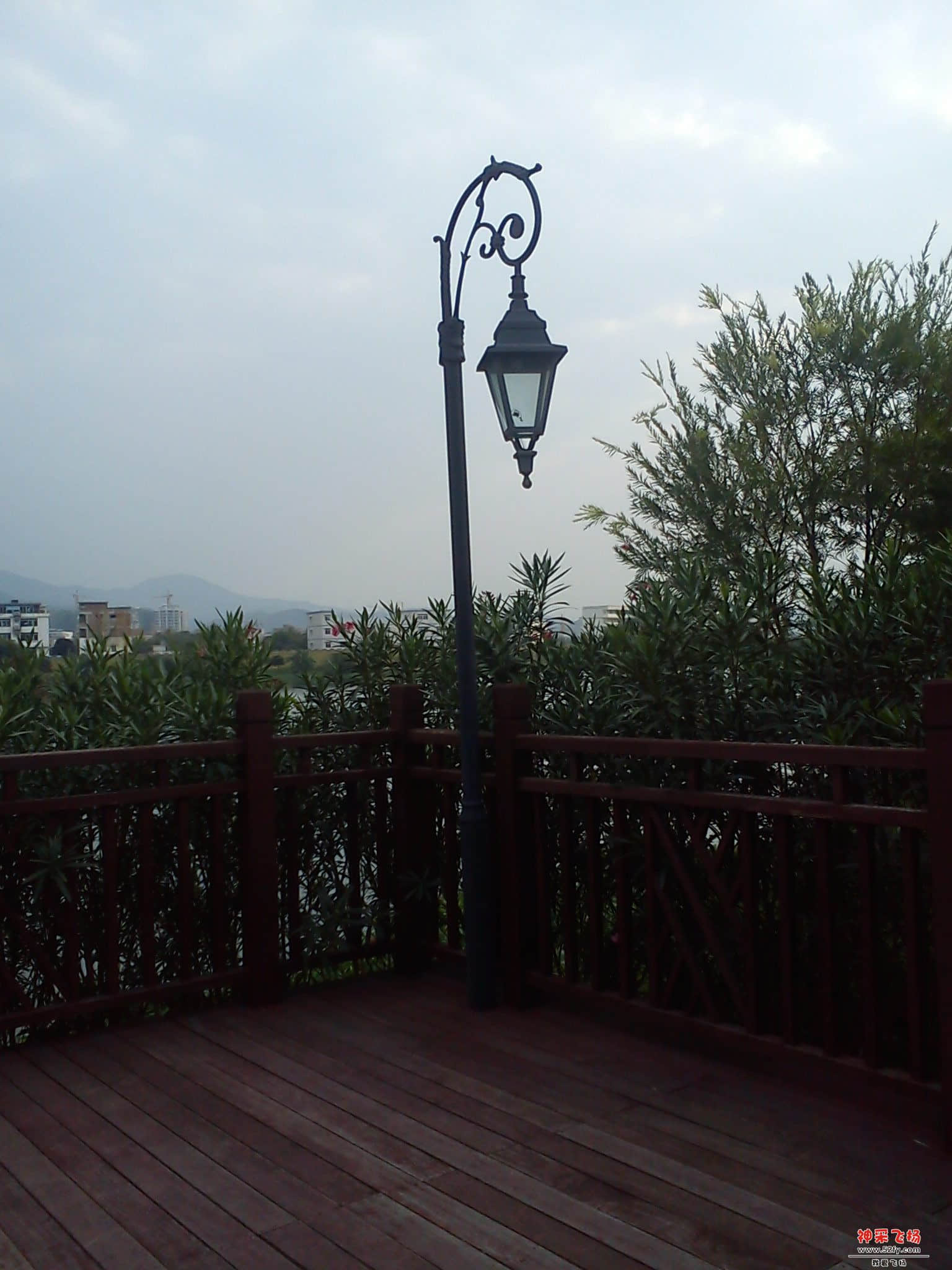 DSC00716.jpg