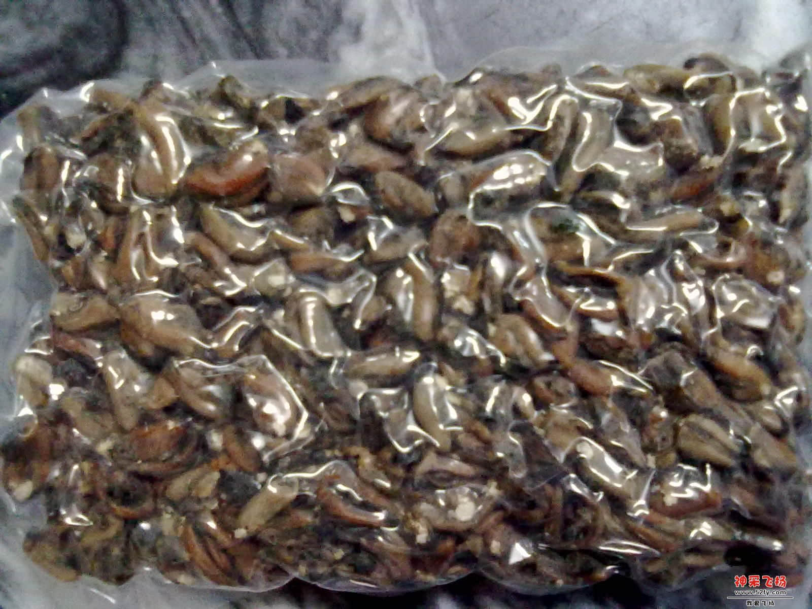 20121107509.jpg