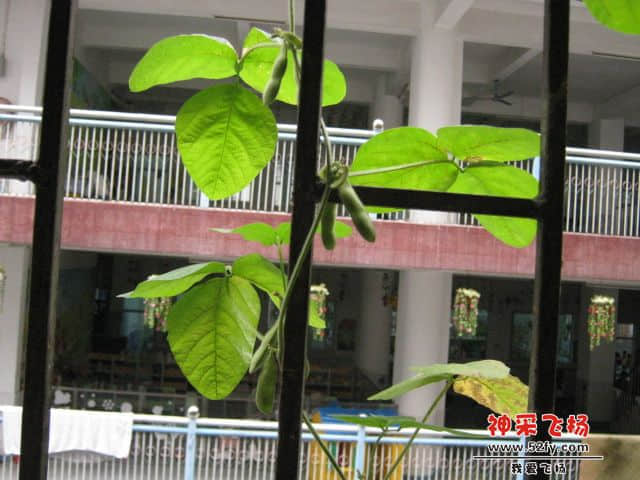 照片 2720.jpg