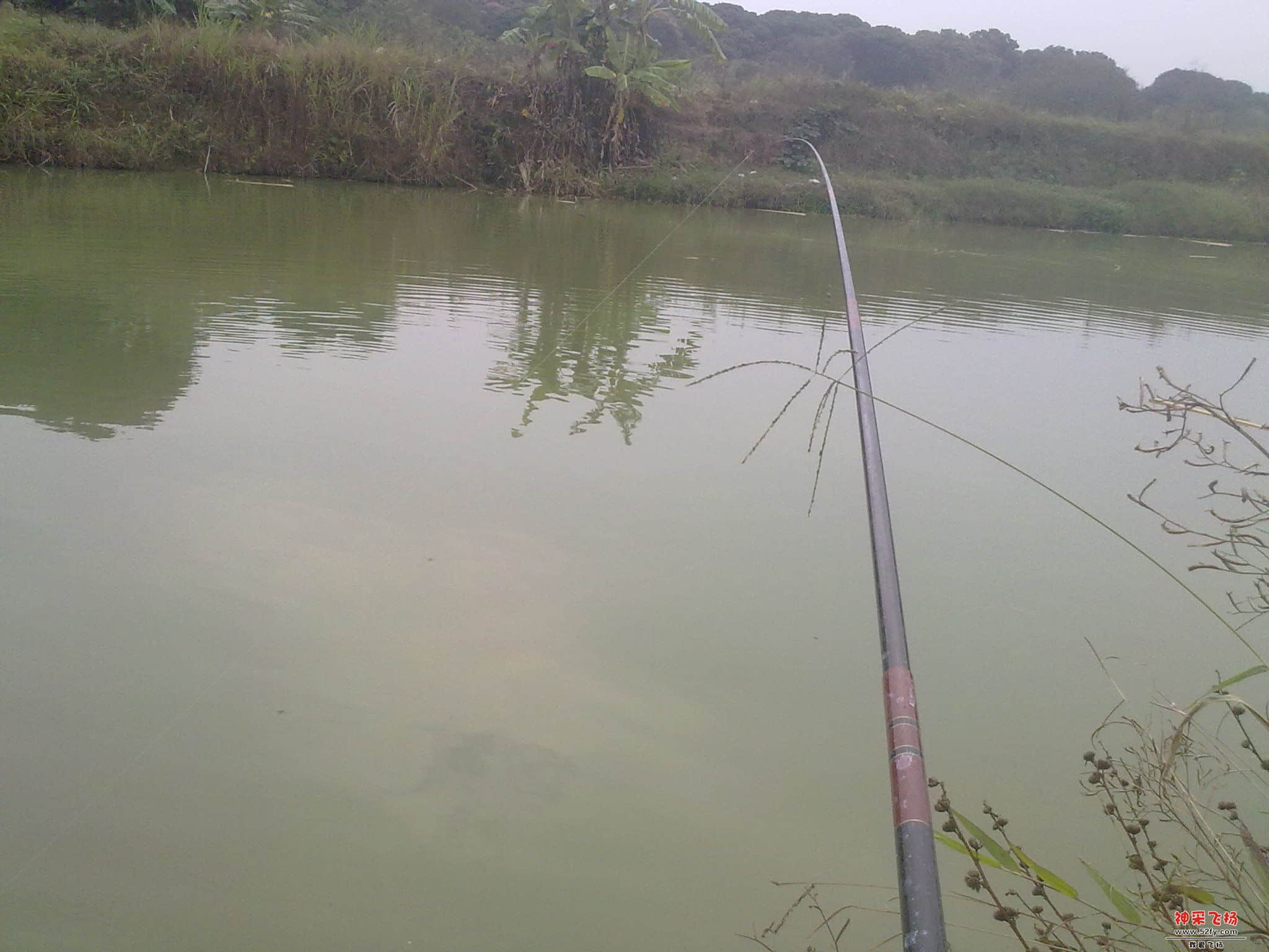 20121120327.jpg