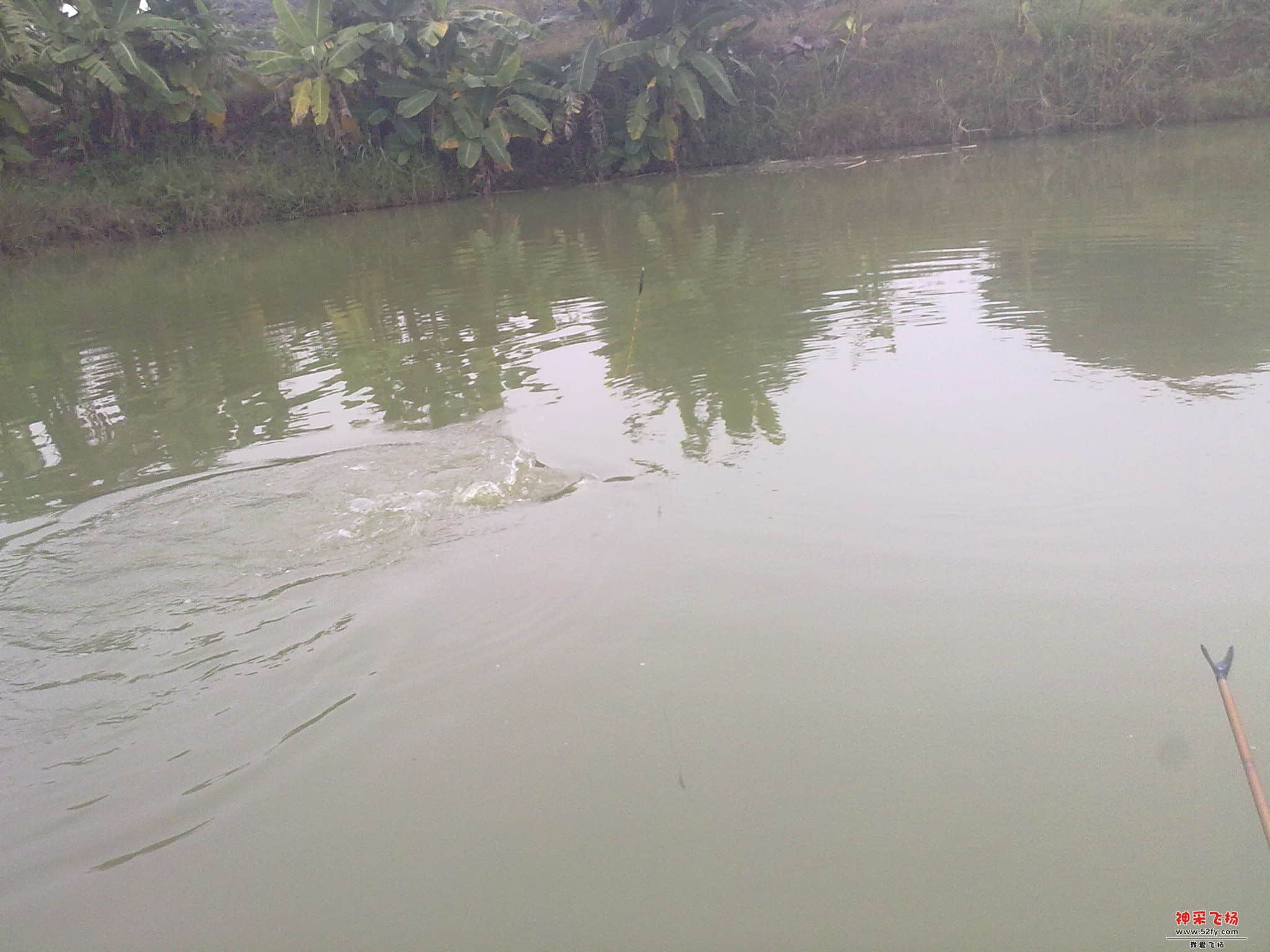 20121120334.jpg