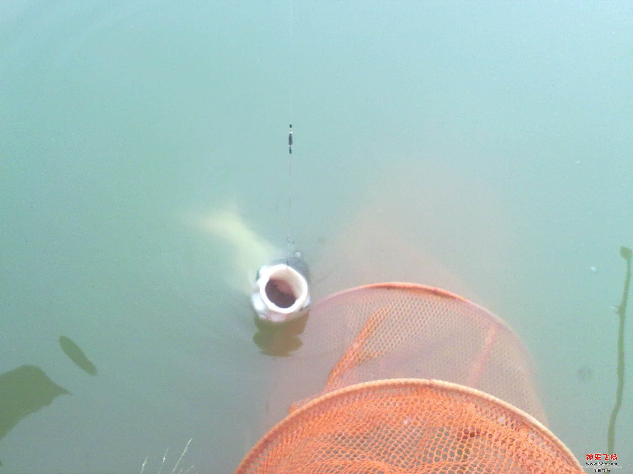 20121120337.jpg