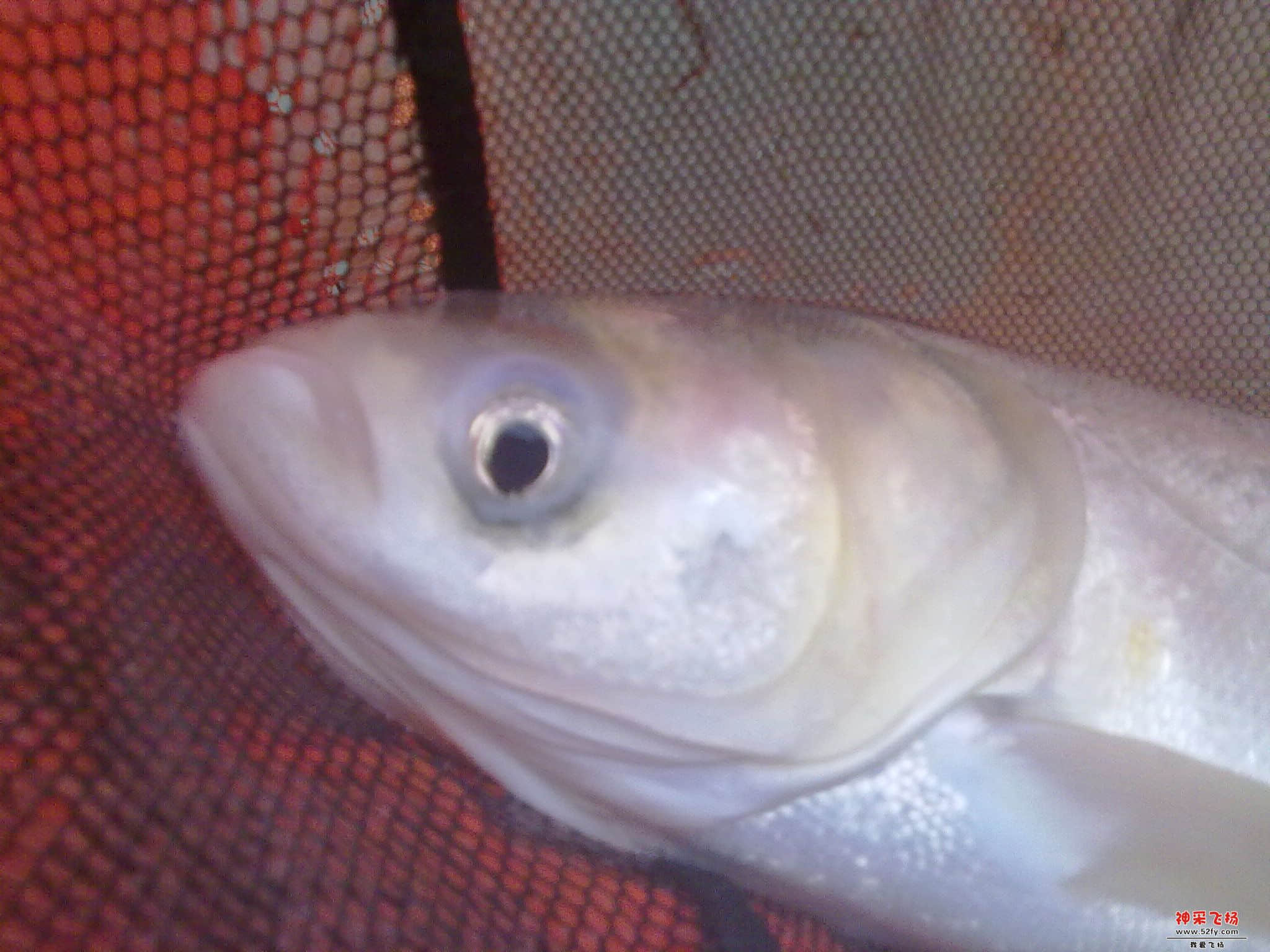 20121120338.jpg