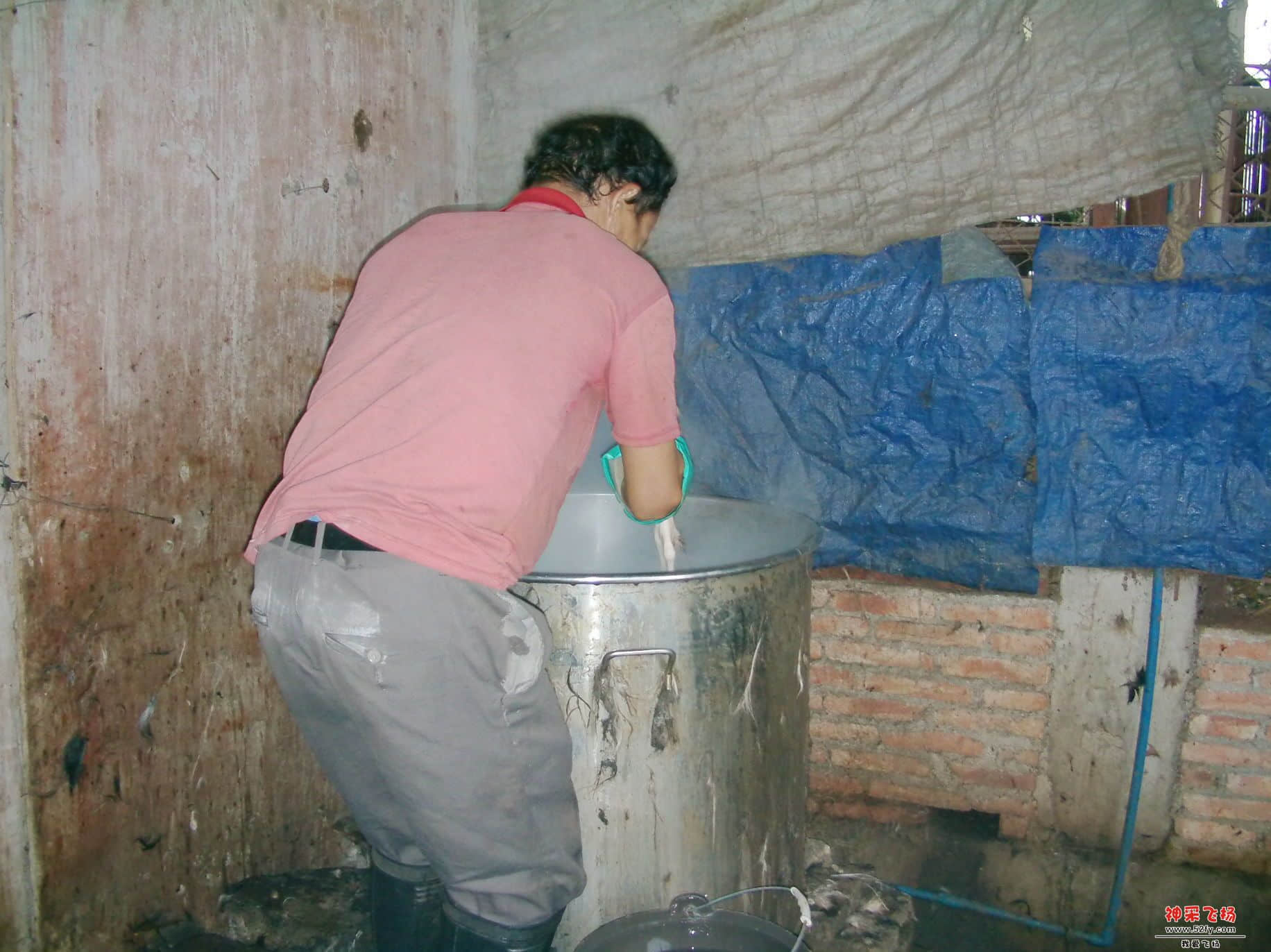 FILE0034.JPG